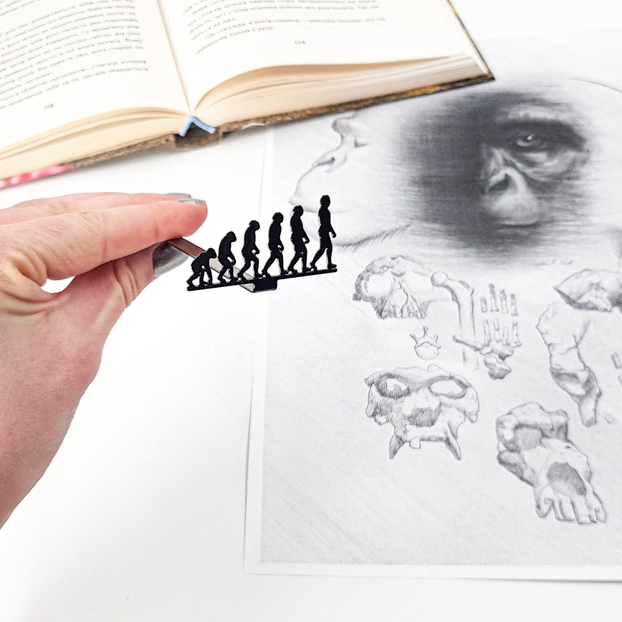 Bookmark "Evolution". - Atelier Article