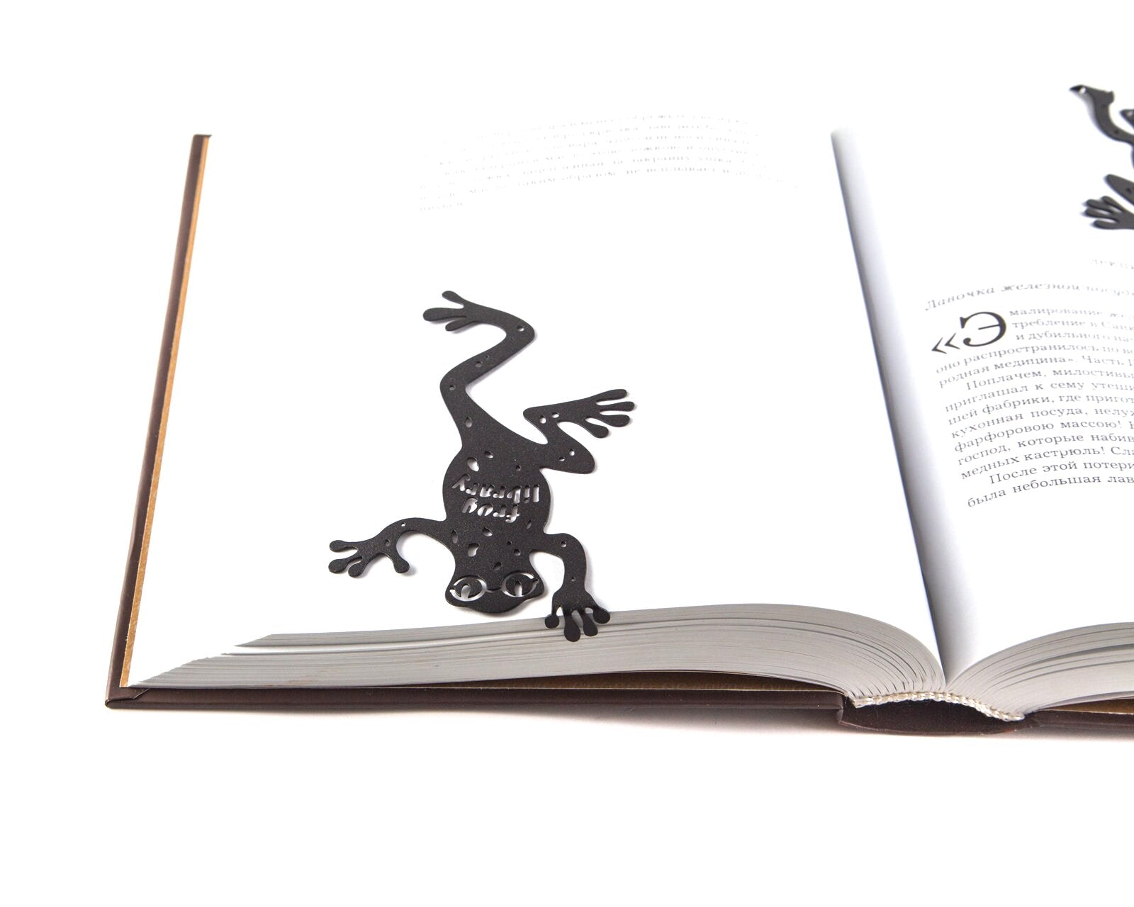 Bookmark "Frog Library". - Atelier Article