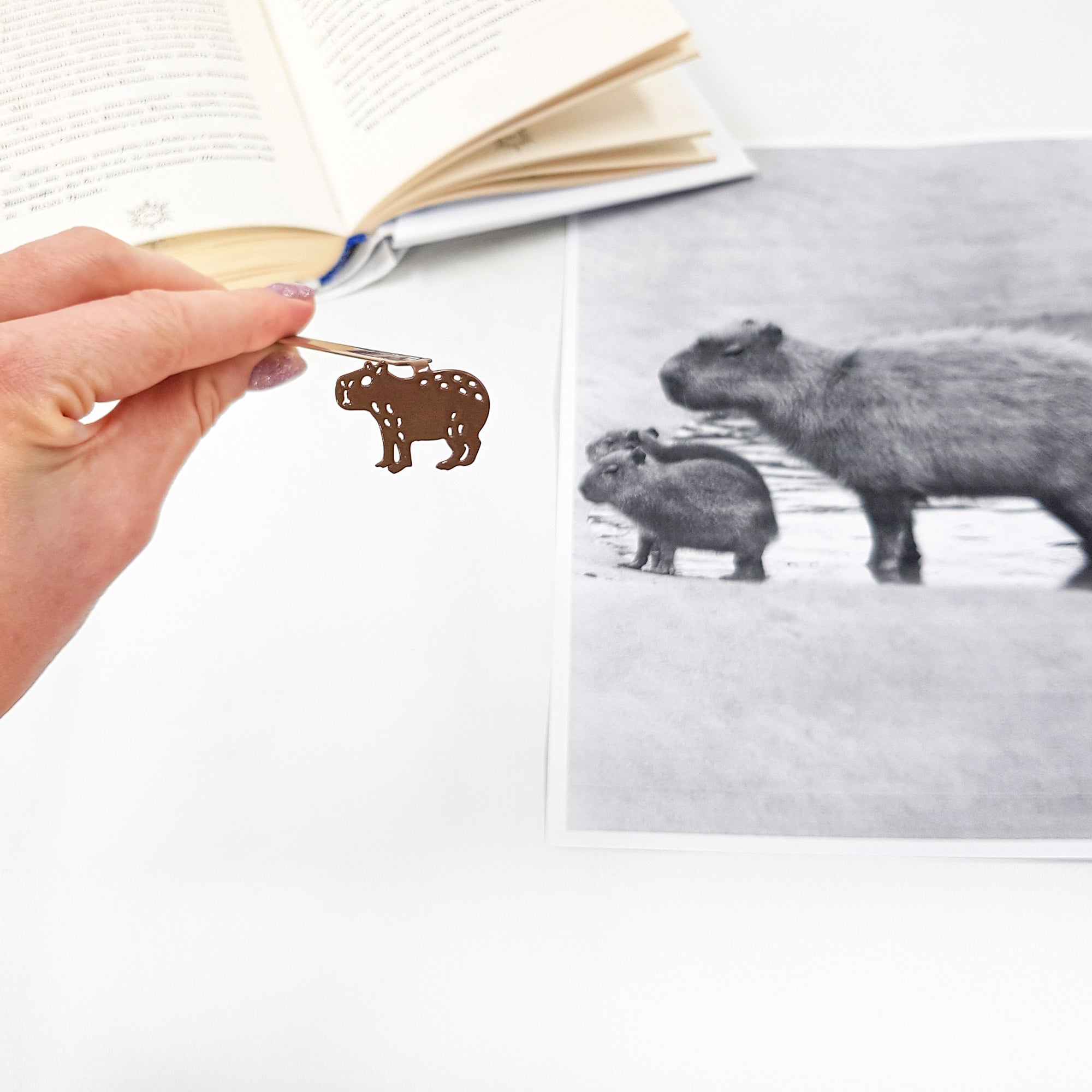 Cute novelty bookmark "Capybara". - Atelier Article