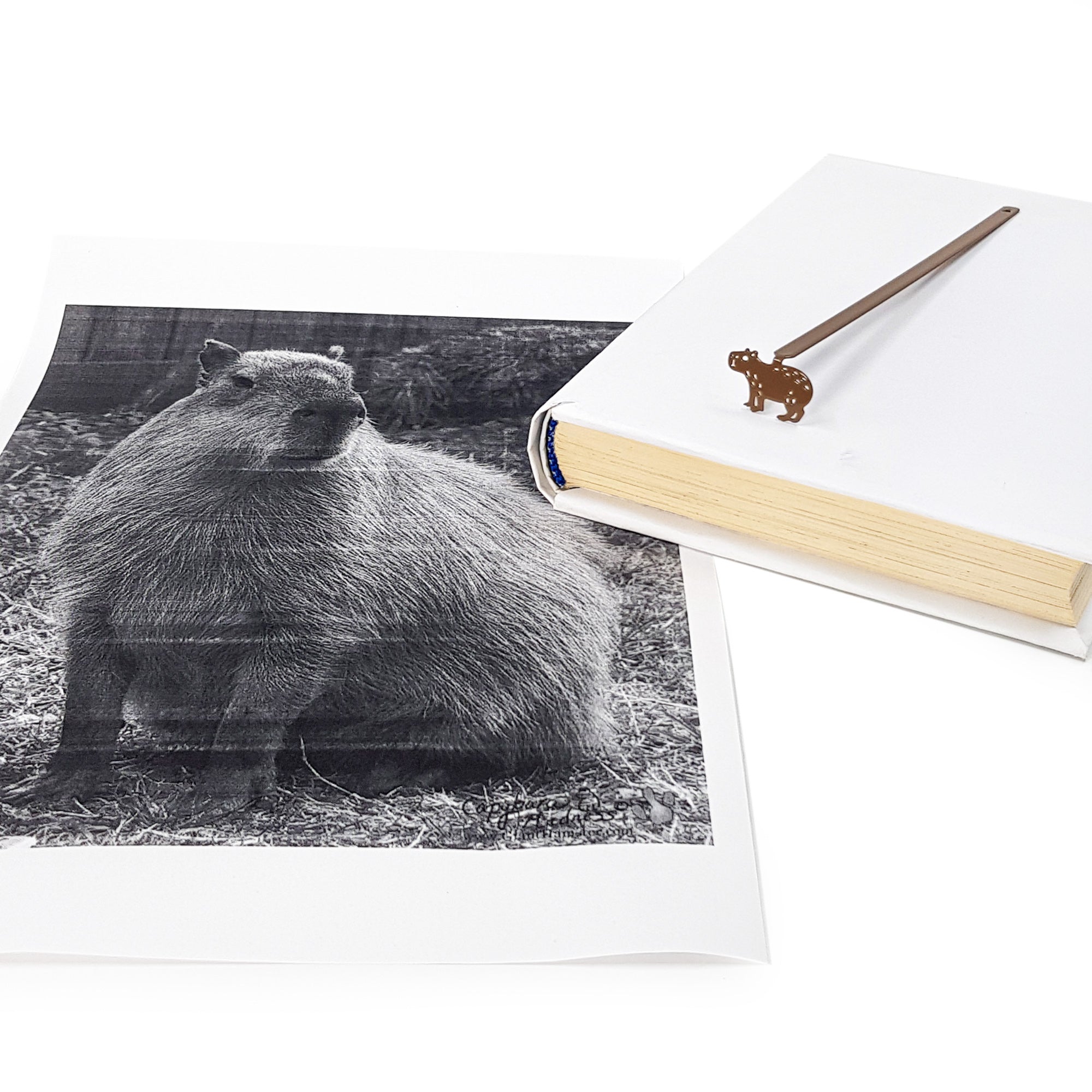 Cute novelty bookmark "Capybara". - Atelier Article