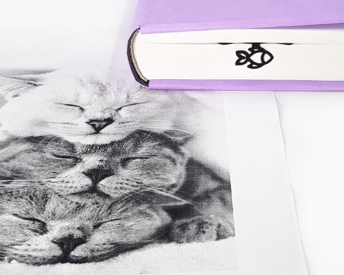 Metal Bookmark Kitty's Dream