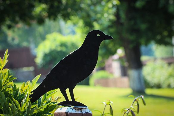 Garden decor metal scarecrow // Crow // by Atelier Article, Black