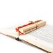Metal Bookmark "Red Biplane" by Atelier Article, Red