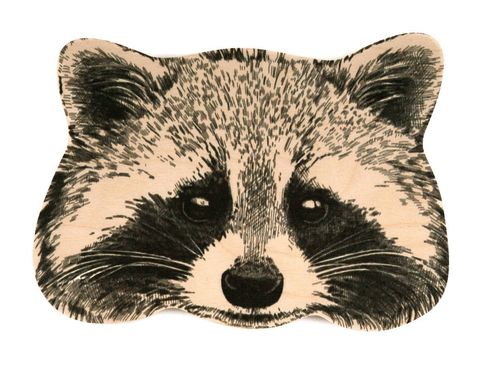 Unique hook - hanger - mask - Raccoon. Functional wall art for your unique home by Atelier Article, Assorted