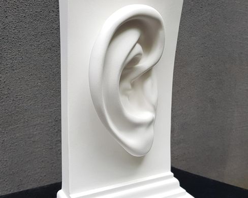 Single Bookend Ear, White