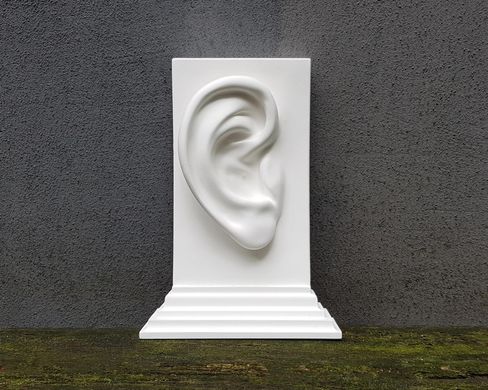 Single Bookend Ear, White