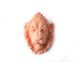 Lion Ceramic Plaster Head Terracotta by Atelier Article, Peach