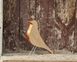 MidCentury Inspired Wooden Birdie // Eames Like Design, Beige