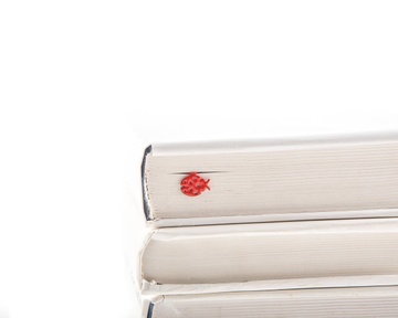 Metal Bookmark "Ladybug" by Atelier Article, Red