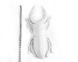 Faux Insect Taxidermy Beetle // Bug Wall Art by Atelier Article, White