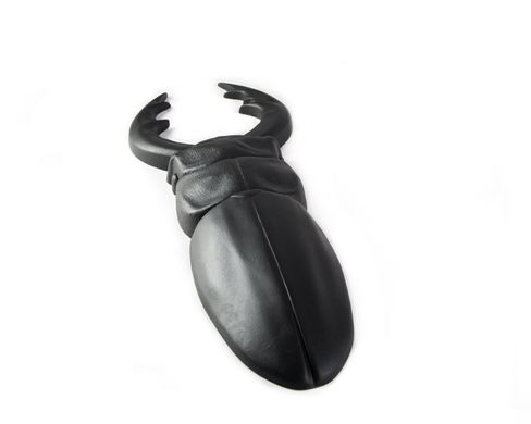 Faux Insect Taxidermy Black Beetle Wall decor by Atelier Article, Black