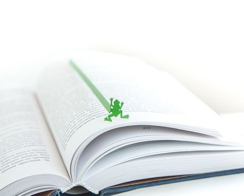 Metal Bookmark / Frog / by Atelier Article, Green